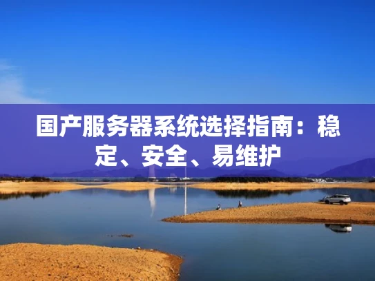 国产服务器系统选择指南：稳定、安全、易维护