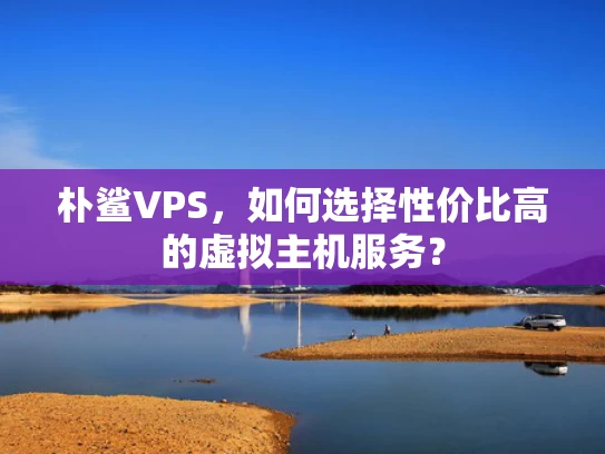 朴鲨VPS，如何选择性价比高的虚拟主机服务？