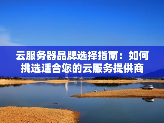 云服务器品牌选择指南：如何挑选适合您的云服务提供商