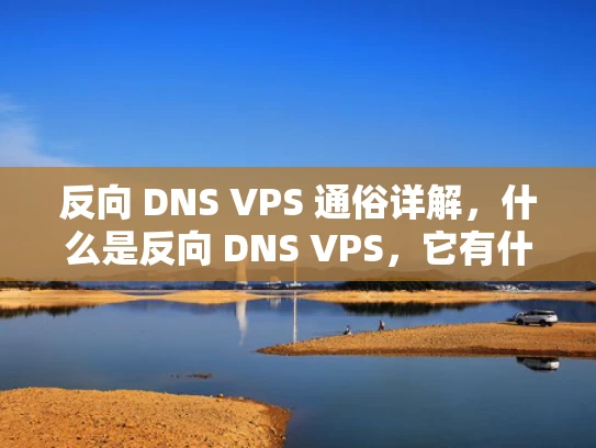 反向 DNS VPS 通俗详解，什么是反向 DNS VPS，它有什么优缺点？