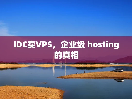 IDC卖VPS，企业级 hosting的真相
