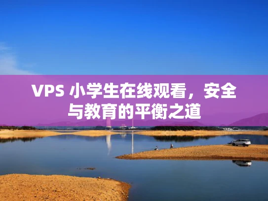 VPS 小学生在线观看，安全与教育的平衡之道