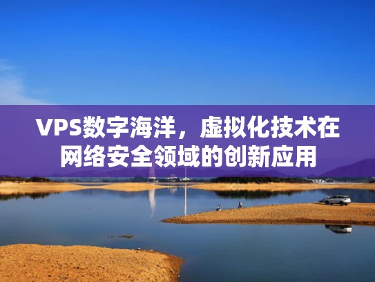 VPS数字海洋，虚拟化技术在网络安全领域的创新应用