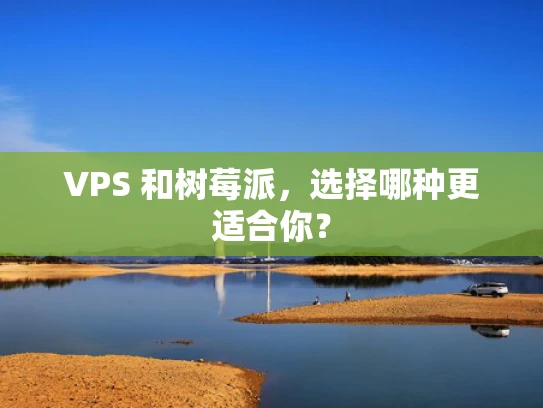 VPS 和树莓派，选择哪种更适合你？