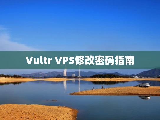 Vultr VPS修改密码指南