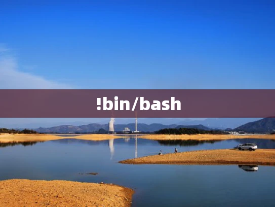 !bin/bash