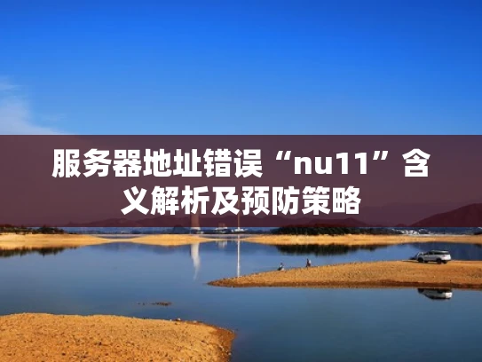 服务器地址错误“nu11”含义解析及预防策略