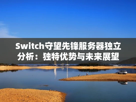 Switch守望先锋服务器独立分析：独特优势与未来展望