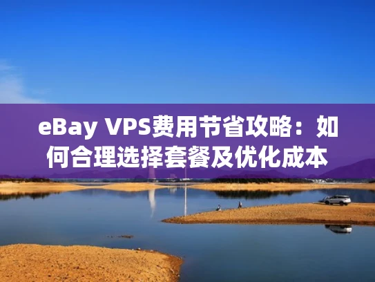 eBay VPS费用节省攻略：如何合理选择套餐及优化成本