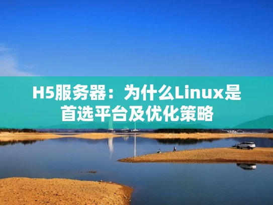 H5服务器：为什么Linux是首选平台及优化策略