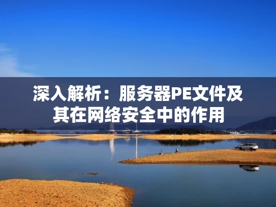 深入解析：服务器PE文件及其在网络安全中的作用