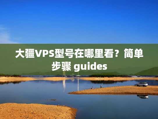 大疆VPS型号在哪里看？简单步骤 guides