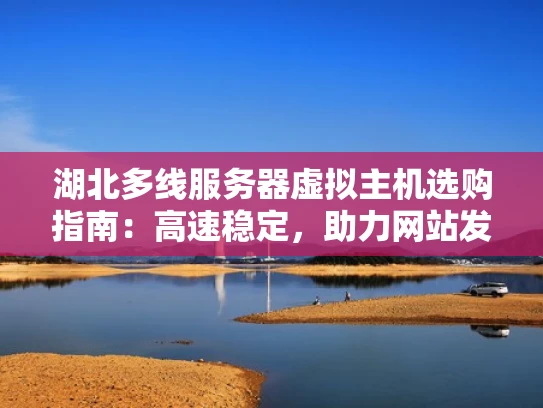 湖北多线服务器虚拟主机选购指南：高速稳定，助力网站发展