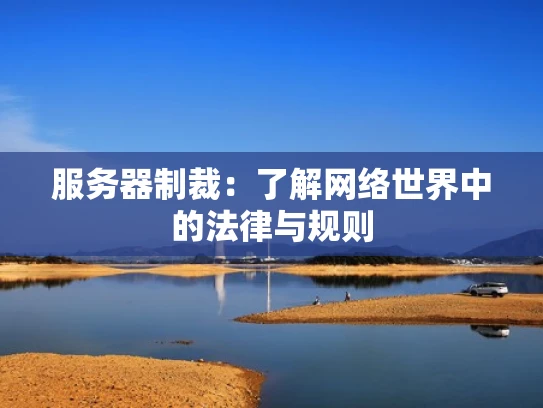 服务器制裁：了解网络世界中的法律与规则