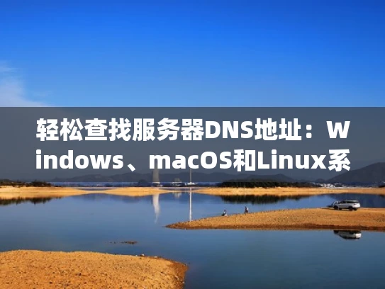 轻松查找服务器DNS地址：Windows、macOS和Linux系统指南