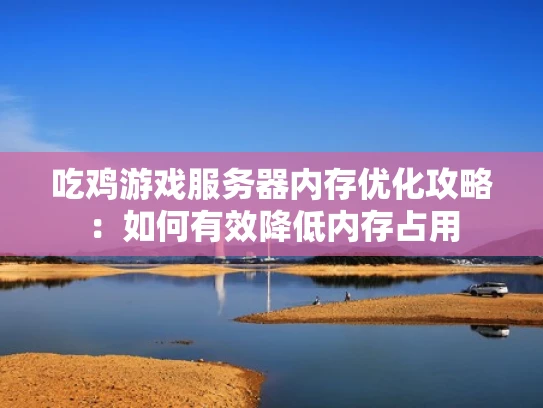 吃鸡游戏服务器内存优化攻略：如何有效降低内存占用