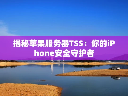 揭秘苹果服务器TSS：你的iPhone安全守护者