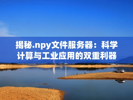 揭秘.npy文件服务器：科学计算与工业应用的双重利器