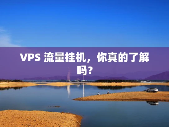 VPS 流量挂机，你真的了解吗？