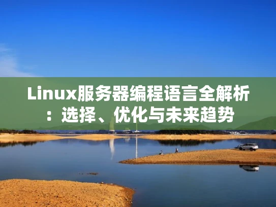 Linux服务器编程语言全解析：选择、优化与未来趋势