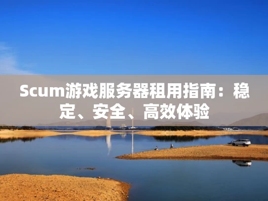 Scum游戏服务器租用指南：稳定、安全、高效体验