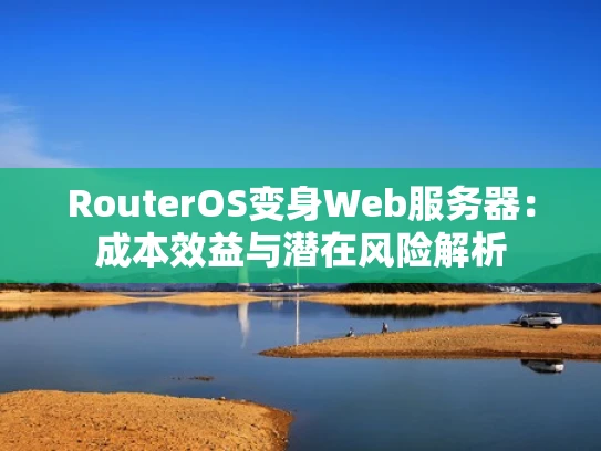 RouterOS变身Web服务器：成本效益与潜在风险解析