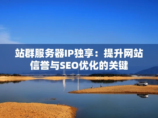 站群服务器IP独享：提升网站信誉与SEO优化的关键