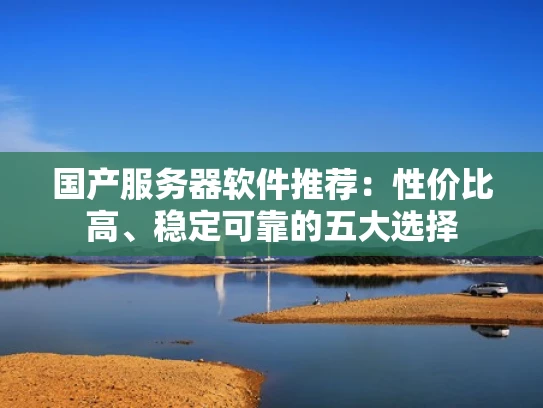 国产服务器软件推荐：性价比高、稳定可靠的五大选择