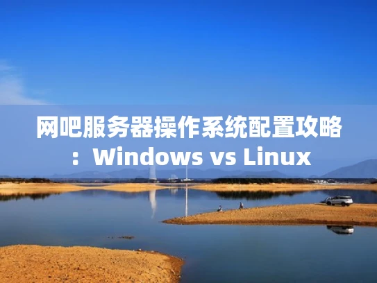 网吧服务器操作系统配置攻略：Windows vs Linux