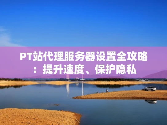 PT站代理服务器设置全攻略：提升速度、保护隐私
