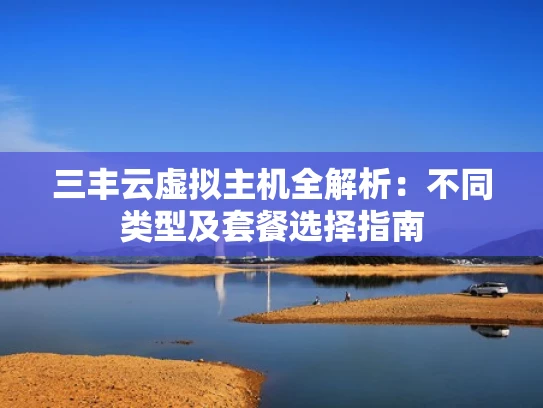 三丰云虚拟主机全解析：不同类型及套餐选择指南