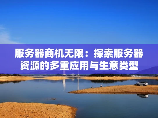 服务器商机无限：探索服务器资源的多重应用与生意类型