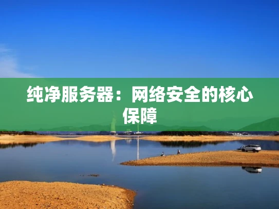 纯净服务器：网络安全的核心保障