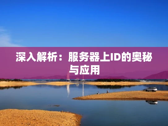 深入解析：服务器上ID的奥秘与应用