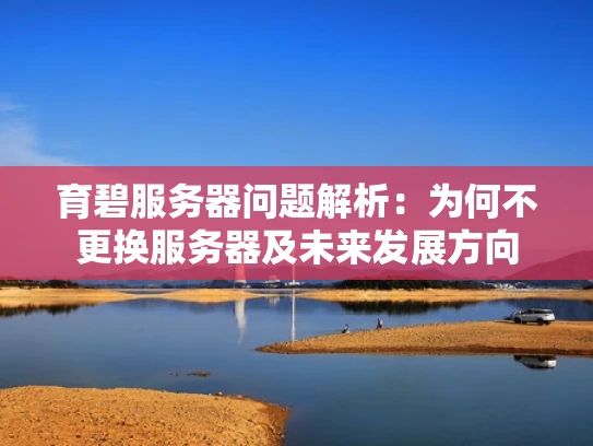 育碧服务器问题解析：为何不更换服务器及未来发展方向
