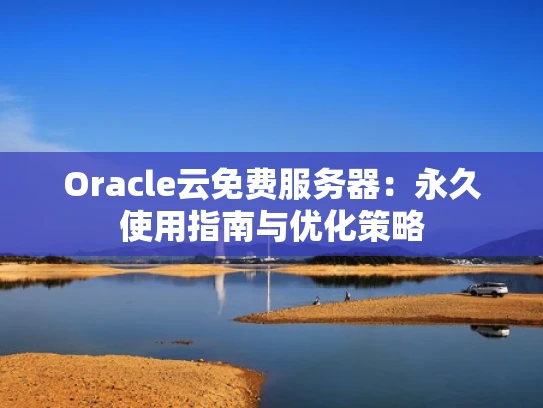 Oracle云免费服务器：永久使用指南与优化策略
