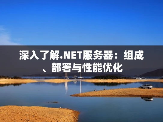 深入了解.NET服务器：组成、部署与性能优化