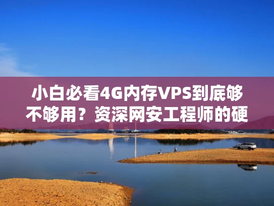 小白必看4G内存VPS到底够不够用？资深网安工程师的硬核分析