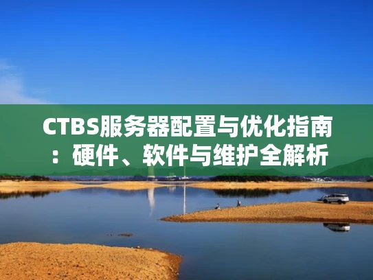 CTBS服务器配置与优化指南：硬件、软件与维护全解析
