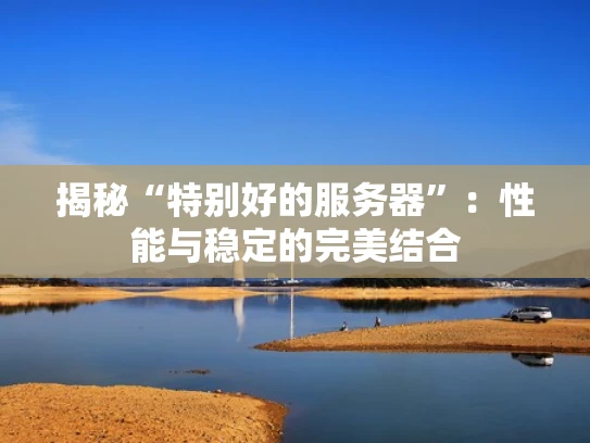 揭秘“特别好的服务器”：性能与稳定的完美结合