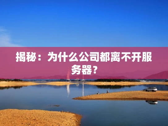 揭秘：为什么公司都离不开服务器？