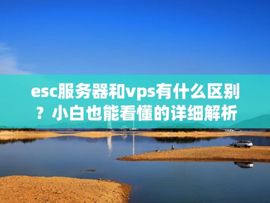 esc服务器和vps有什么区别？小白也能看懂的详细解析