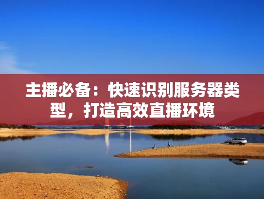 主播必备：快速识别服务器类型，打造高效直播环境