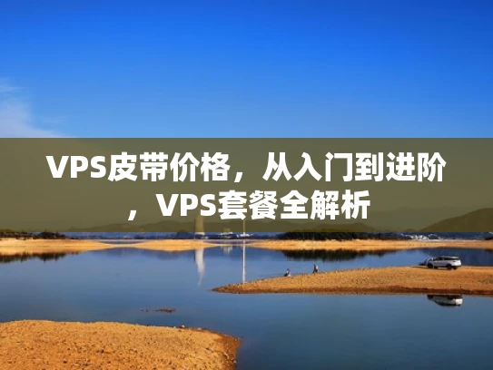 VPS皮带价格，从入门到进阶，VPS套餐全解析