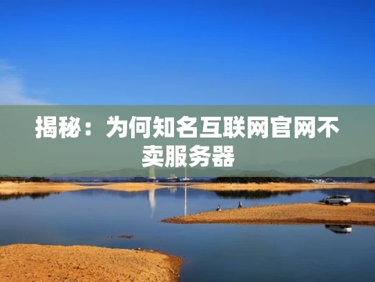 揭秘：为何知名互联网官网不卖服务器
