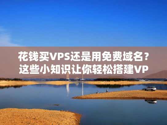 花钱买VPS还是用免费域名？这些小知识让你轻松搭建VPS