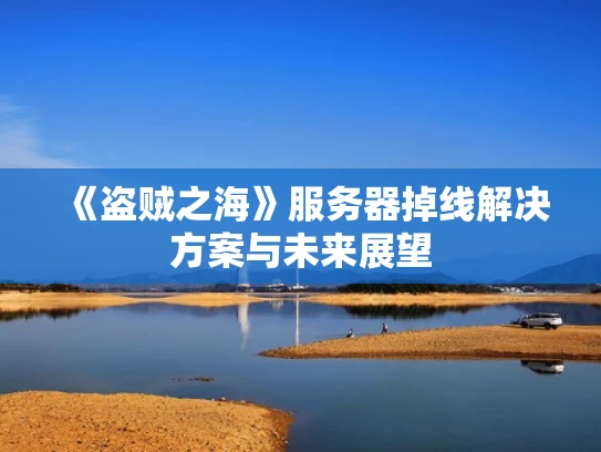 《盗贼之海》服务器掉线解决方案与未来展望