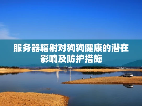 服务器辐射对狗狗健康的潜在影响及防护措施