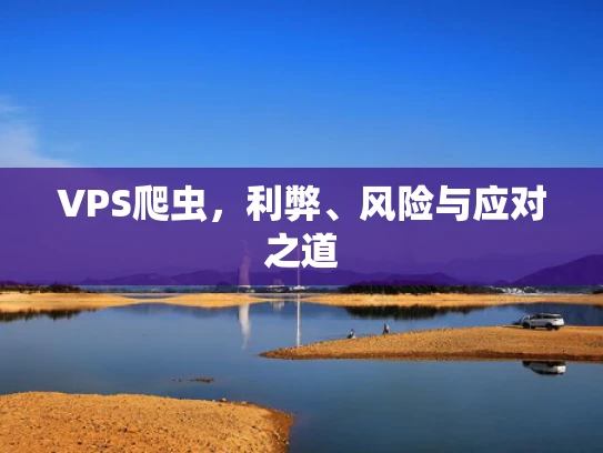 VPS爬虫，利弊、风险与应对之道