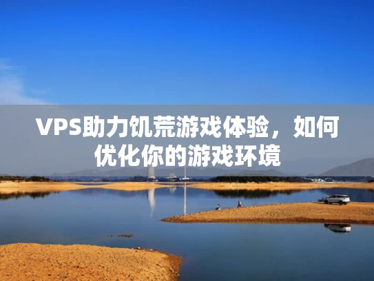 VPS助力饥荒游戏体验，如何优化你的游戏环境